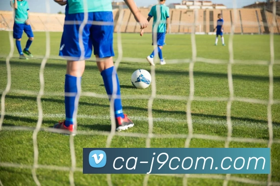 九游会官网APP 封面图