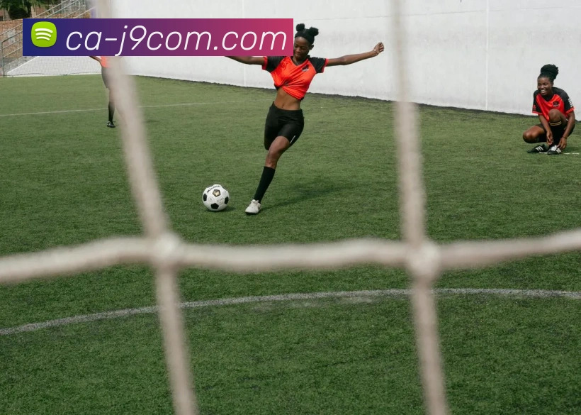 数据防护可视化