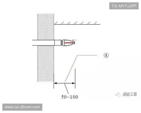 全面解析足球场草从播种到养好需多少天的全流程养护详解全面版指南